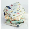 Bolsa Organizadora XL Dinosaurios