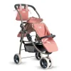 Coche Gemelar Martina