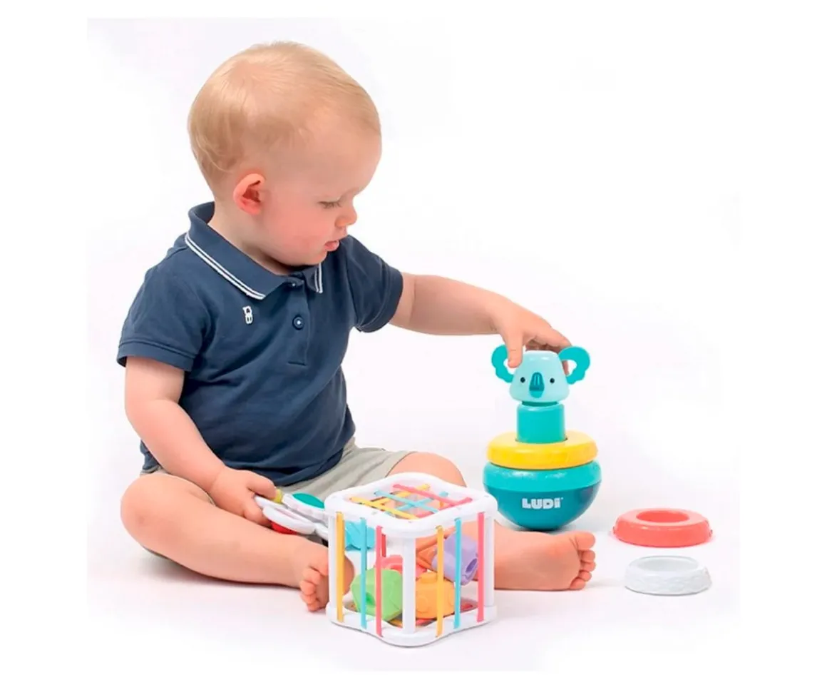 Conjunto de Manipulación Ludi
