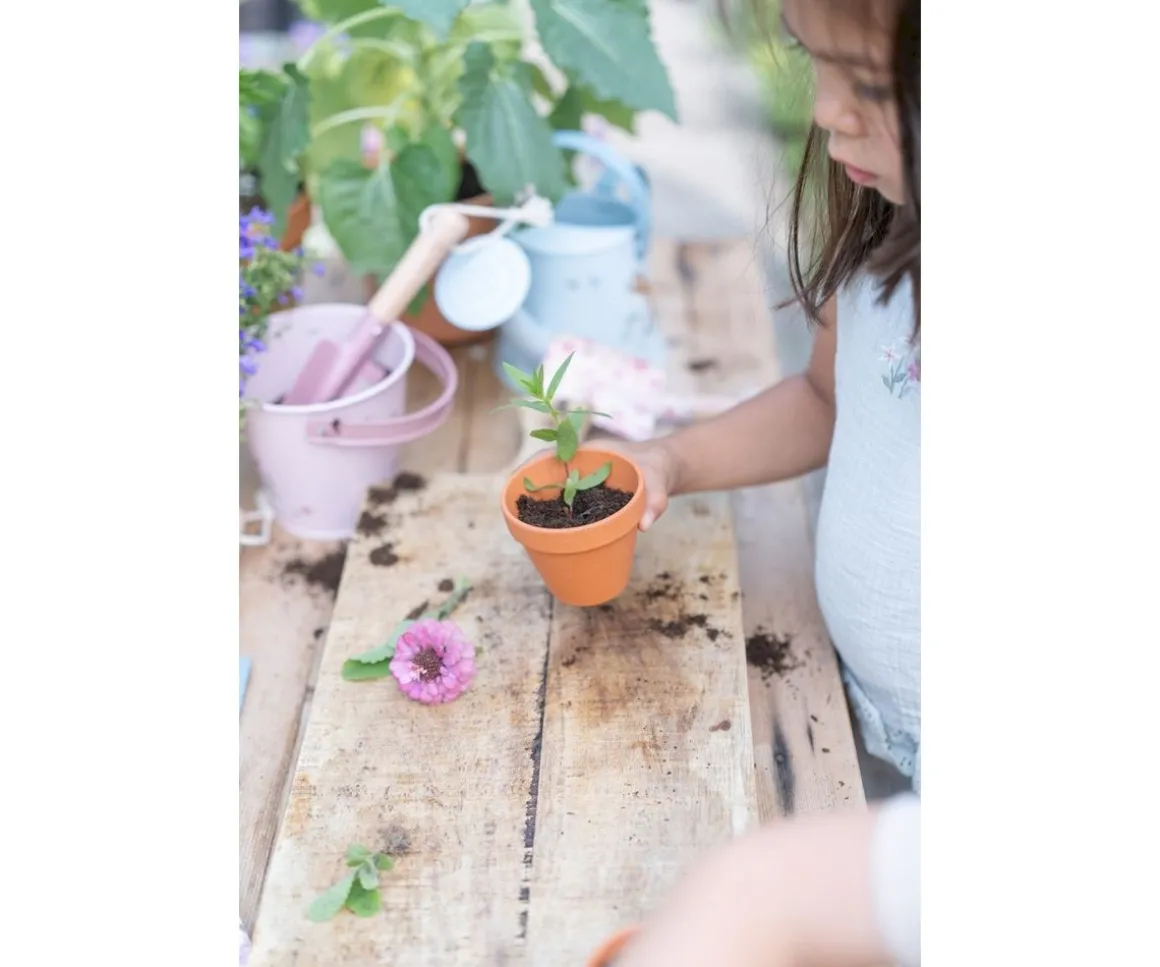 Cubo Metal Fairy Garden