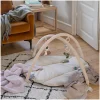 Gimnasio Actividades Wildlife Beige