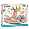 Gimnasio de Actividades Ludi