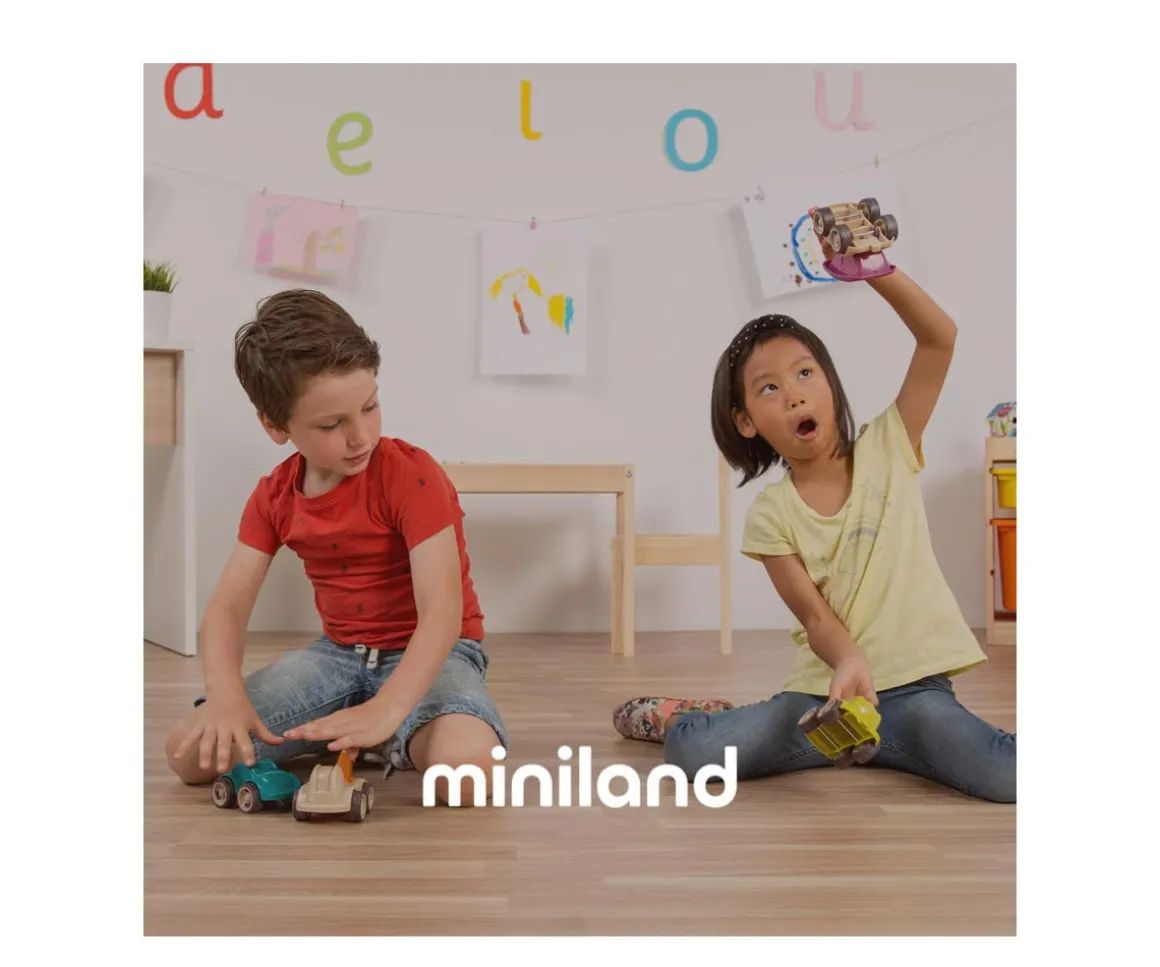 Juego Surtido de Alimentos Envasados