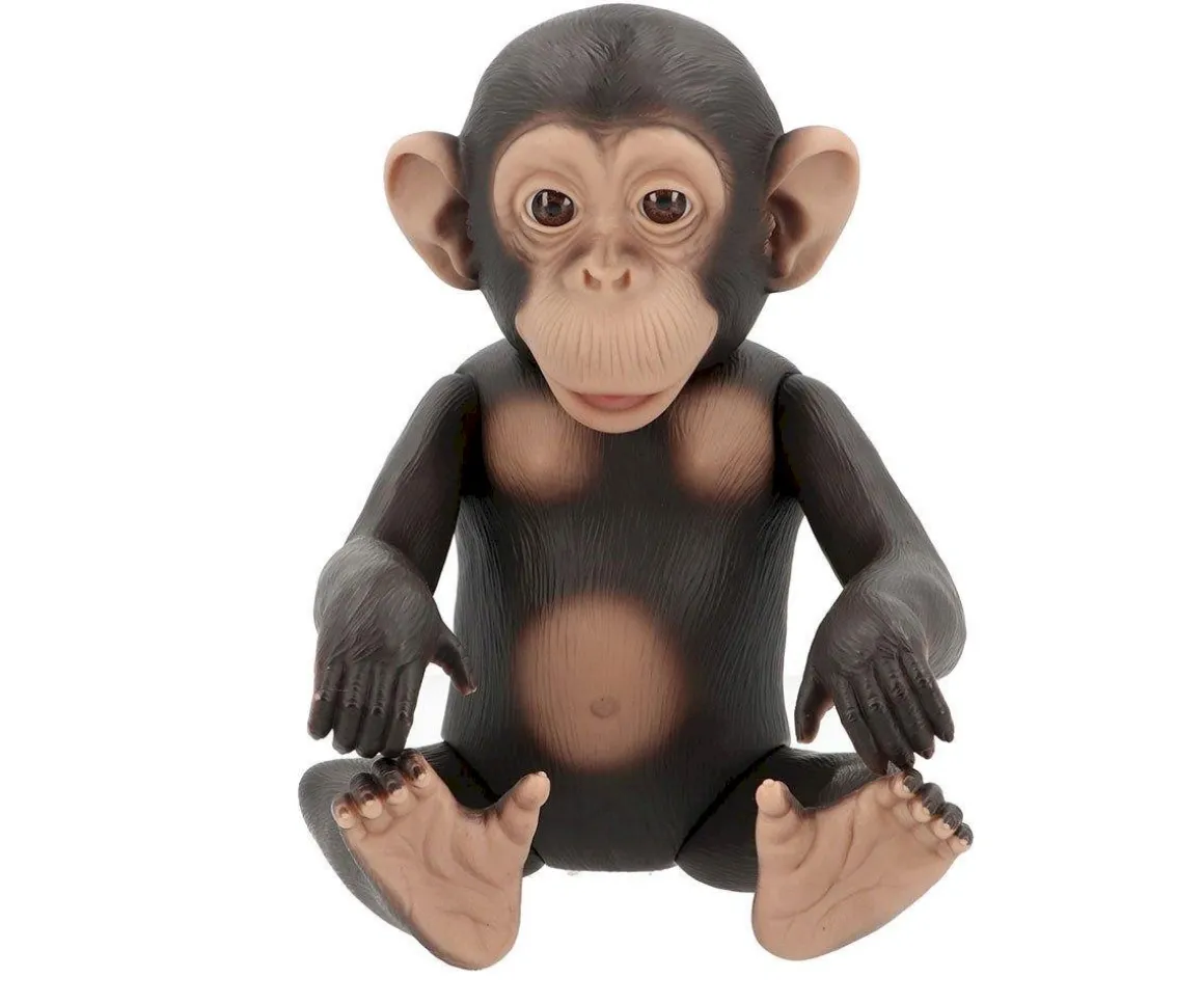 Lola La Chimpancé con Pichi, Blusa y Gorro de Pescador