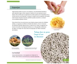 Microscopio Levenhuk LabZZ M101 Lima + Libro Educativo