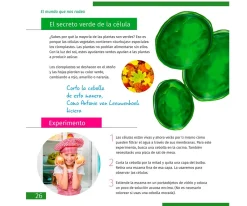 Microscopio Levenhuk LabZZ M101 Azul + Libro Educativo