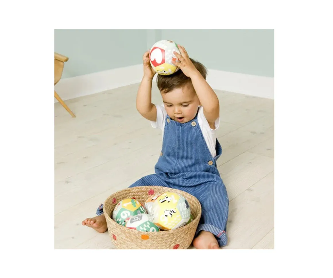 Pelota Educativa Granja