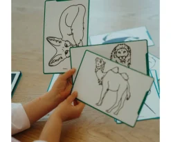 Plantillas KidyDraw Mini Animales, Océanos y Piratas