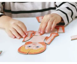 Puzzle Magnético del Cuerpo Humano
