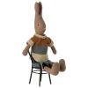 Rabbti Marrón con Camisa y Pantalón Corto T2