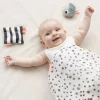Set de Juguetes Sensoriales Birdee Azul