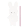 Set Musical Bunny