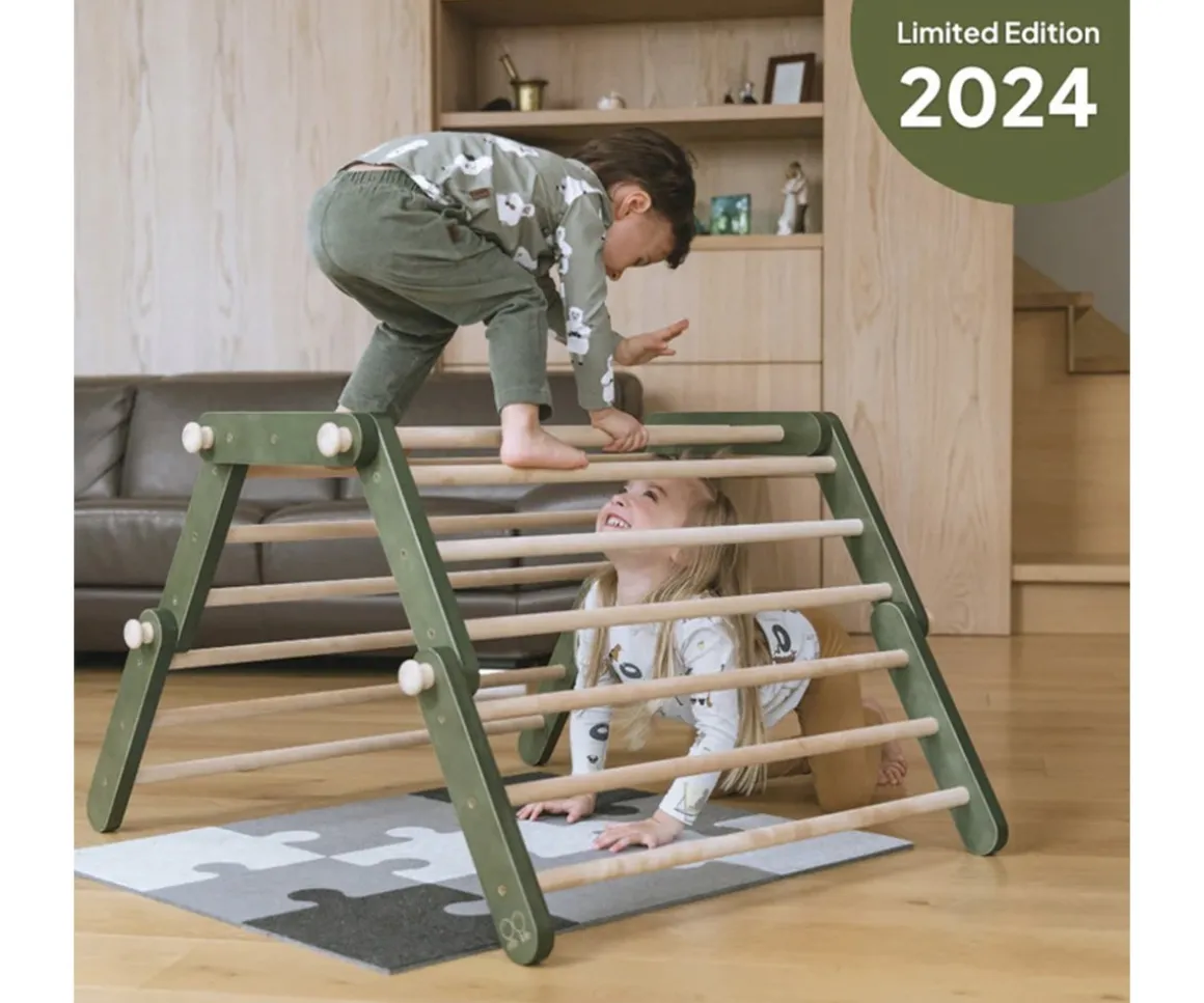 Triángulo FIPITRI Modifiable Climbing Frame Green Edición Limitada 2024